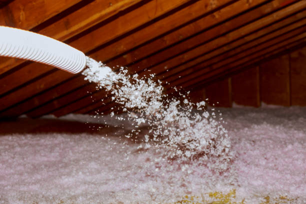 Professional Insulation Contractor in Garden Grove, CA