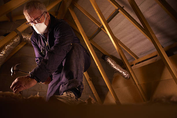 Best Specialized Insulation Services in Garden Grove, CA